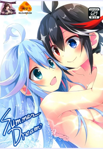 Summer Dream cover