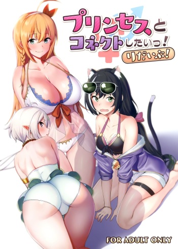 Princess to Connect Shitai! ReDive! cover