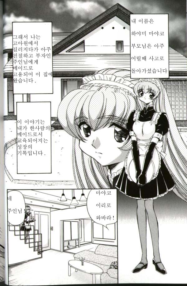 Maid Doreika Keikaku | 메이드 노예화 계획 page 2 full