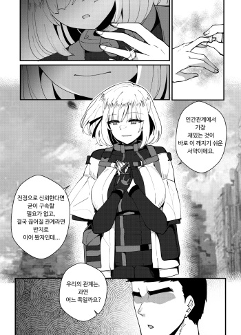 RPK-16 cover