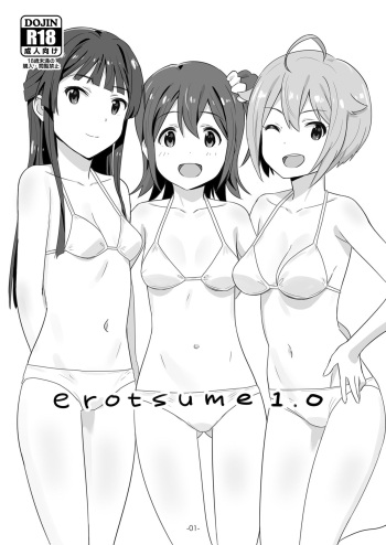 erotsume 1.0 cover