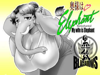 My Wife is Elephant cover