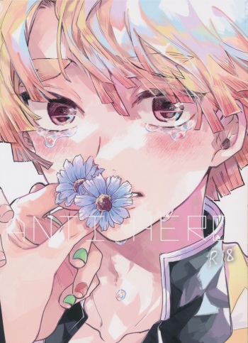 ANTI HERO cover