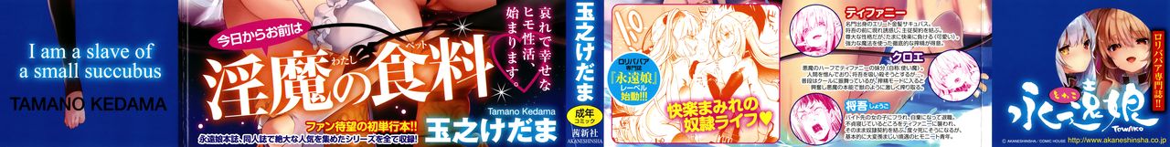 Boku wa Chiisana Succubus no Shimobe - I am a slave of a small succubus page 3 full