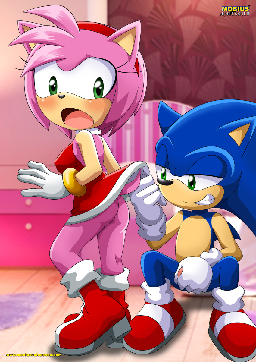 Mobius Unleashed: Sonamy page 2 full