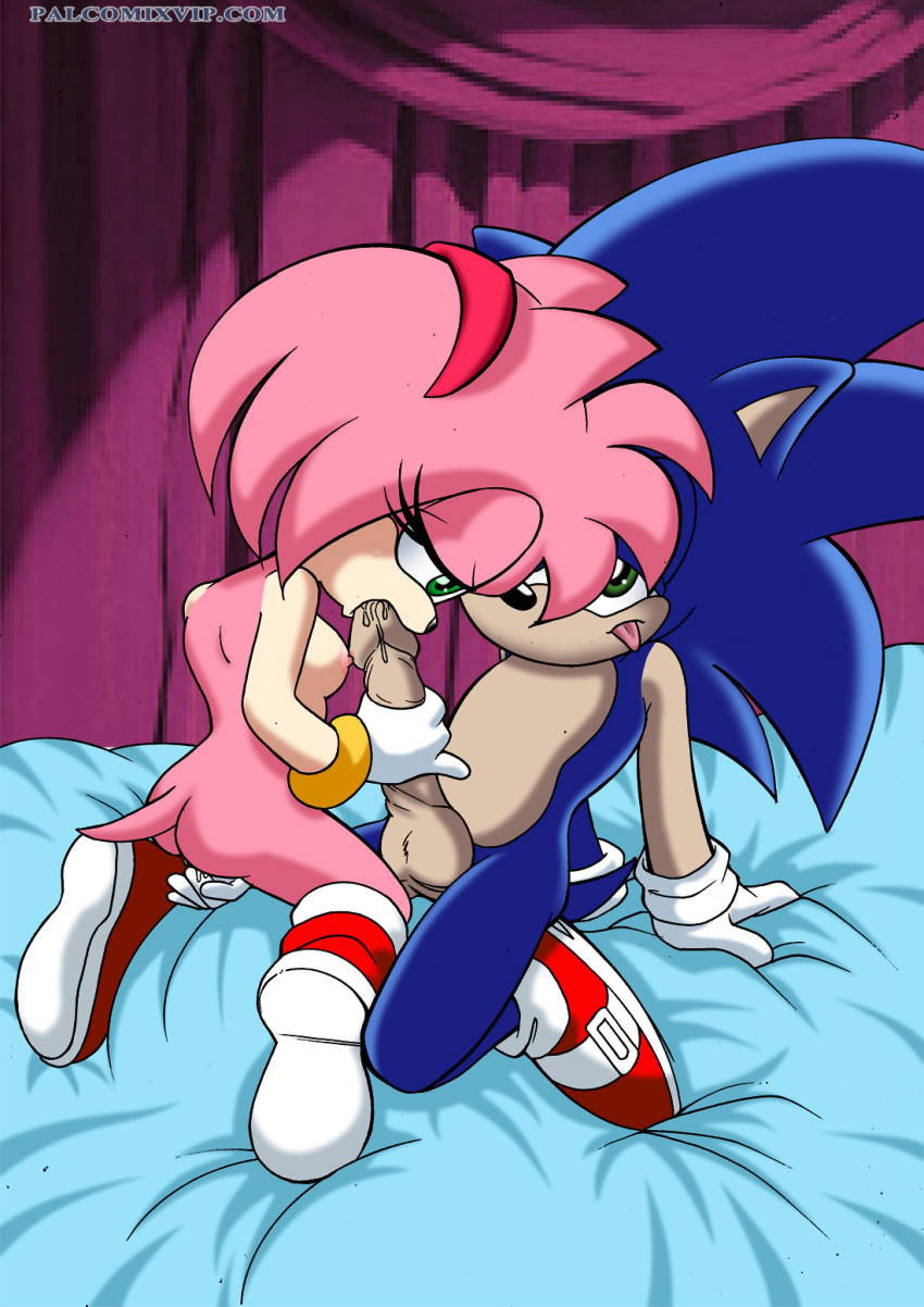 Mobius Unleashed: Sonamy page 5 full