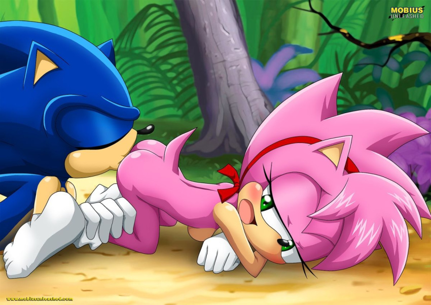 Mobius Unleashed: Sonamy page 9 full