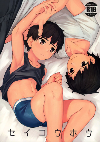 Seikouhou cover