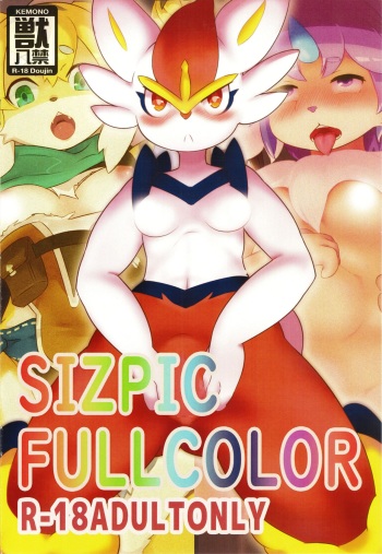 SIZPIC FULL COLOR cover