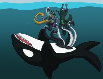 Orca Intake cover