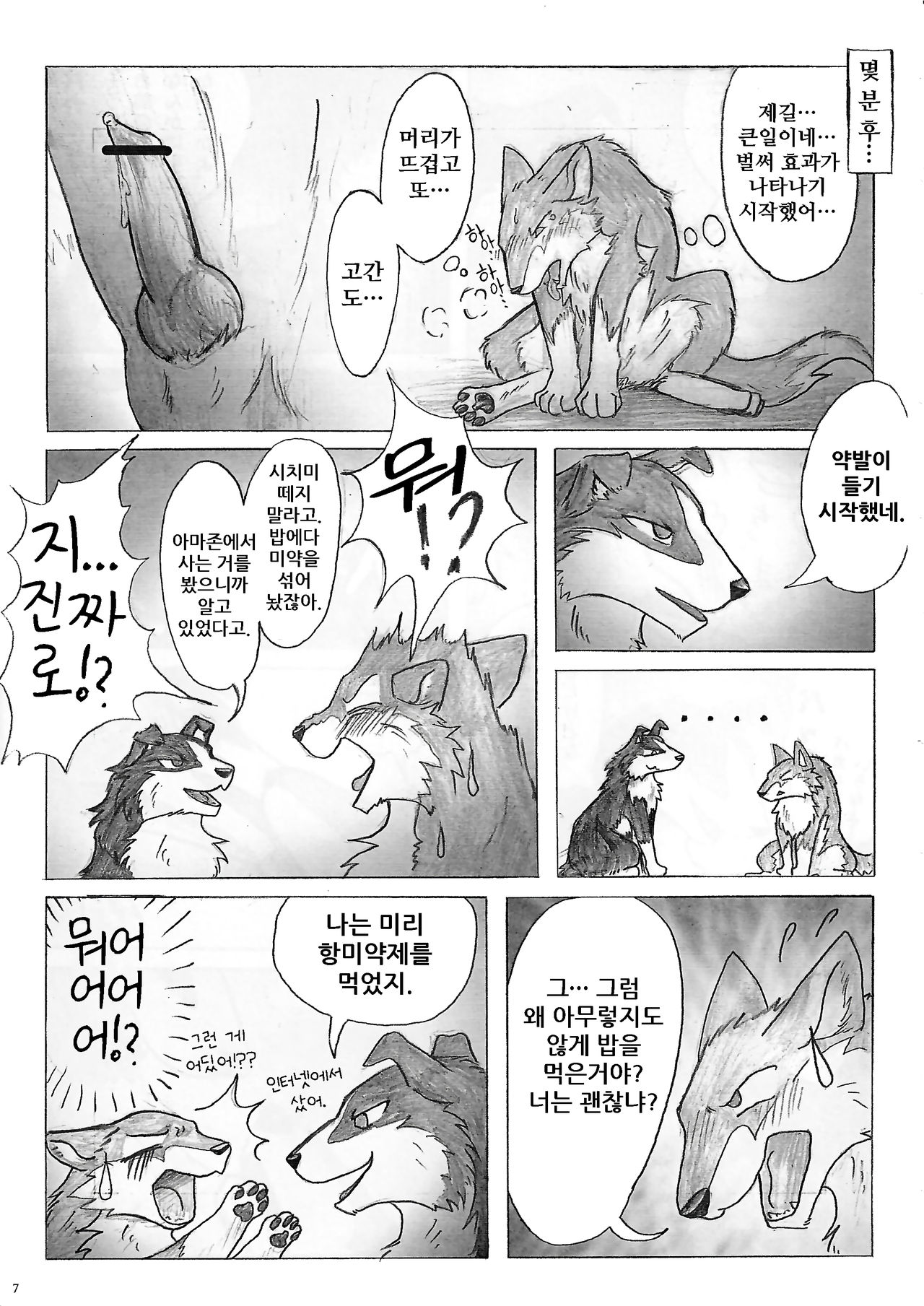 KTQ 15/2 page 9 full