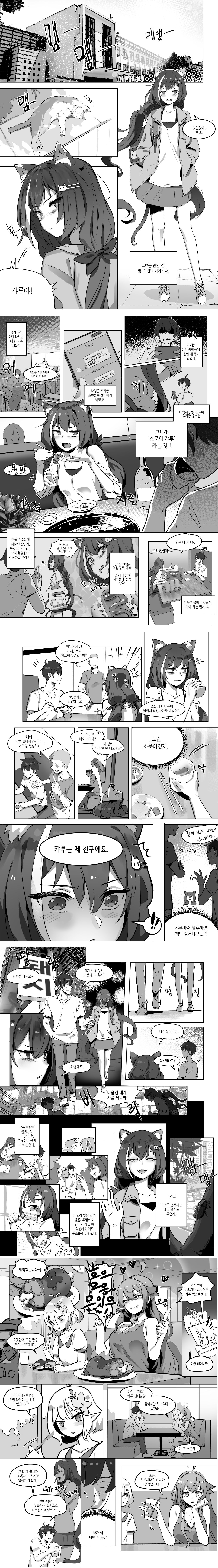 The cat of the rumor / 소문의 고양이 + Extra page 2 full