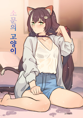 The cat of the rumor / 소문의 고양이 + Extra cover