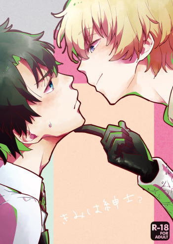 Kimi wa Shinshi? cover