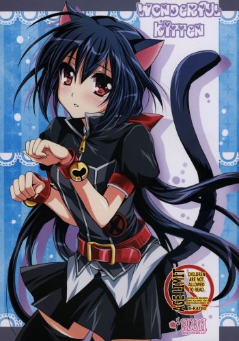 WONDeRFUL KITTeN cover