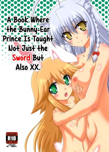 Usamimi Ouji ni Ken dake de Naku xx made Oshiechau Hon. | A Book Where the Bunny-Ear Prince Is Taught Not Just the Sword But Also XX. cover