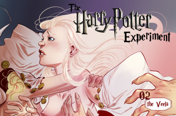 Harry Potter Experience #2 : The Veela cover