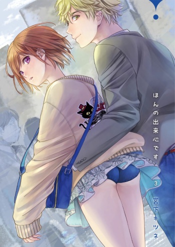 Hon no Dekigokoro desu 3 cover
