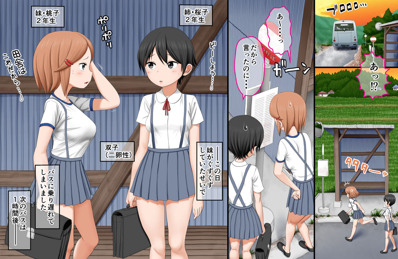 Ikai Yomeiri Kitan ~Gakkou Gaeri ni Mayoikonde Kaibutsu-tachi ni Iroiro Sarechatta Shimai no Hanashi~ page 4 full