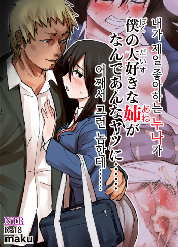 Boku no Daisuki na Ane ga Nande Anna Yatsu ni...... | 내가 제일 좋아하는 누나가 어째서 그런 놈한테…… cover