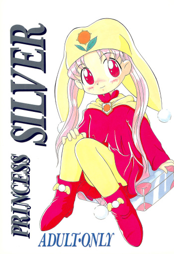 PRINCESS SILVER cover
