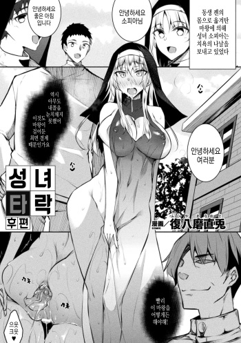 Seijo Daraku Kouhen cover