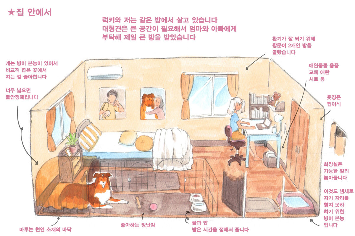 Himitsu no Inukko Club Sweet  | 비밀의 강아지 클럽 Sweet page 10 full