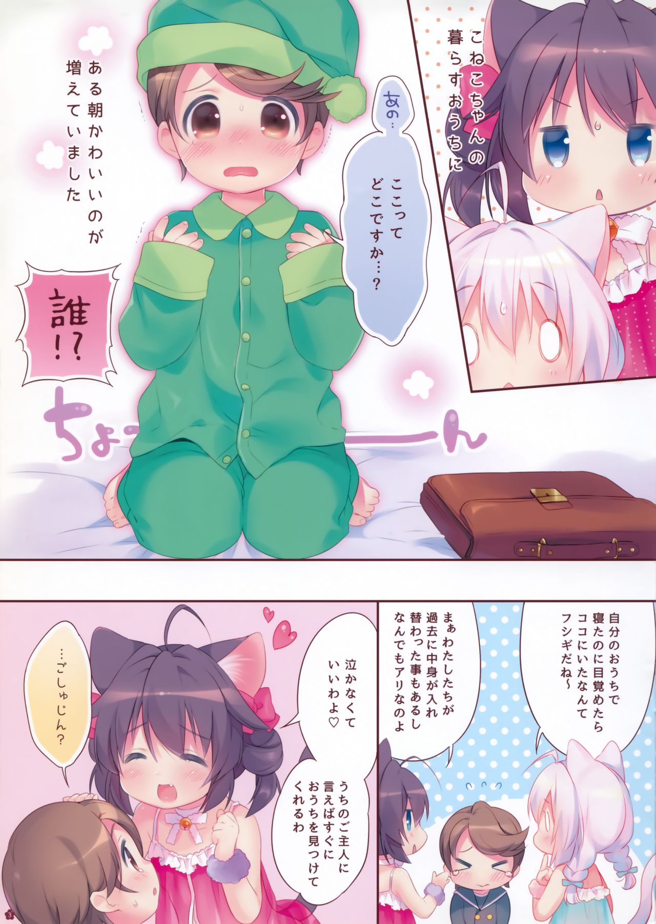 Yasashiku Shite ne, Koneko-chan! page 3 full