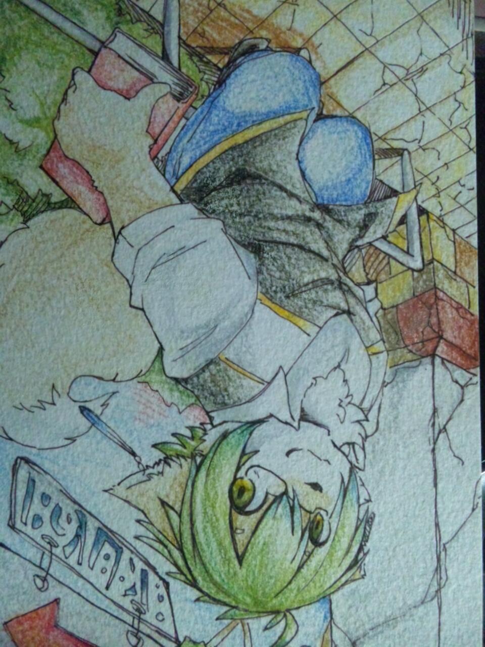 Donguri - Twitter page 5 full