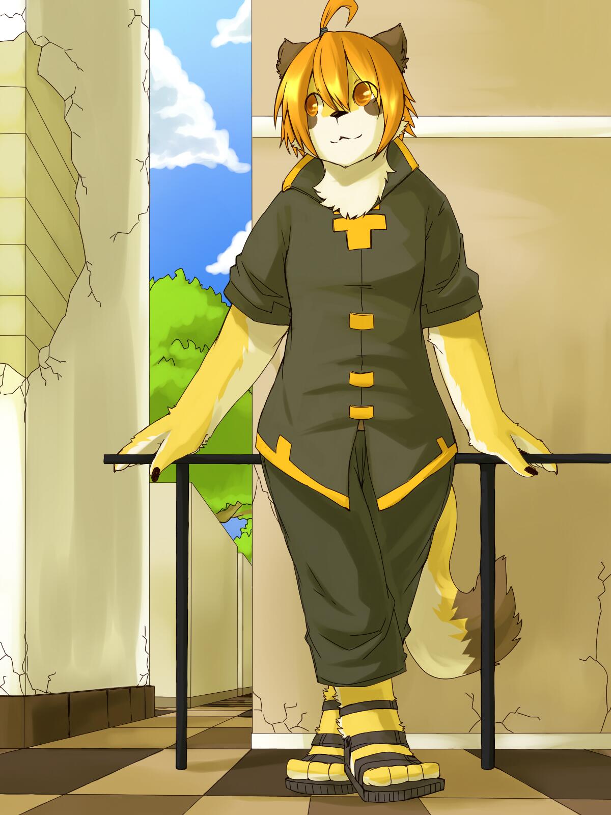 Donguri - Twitter page 8 full