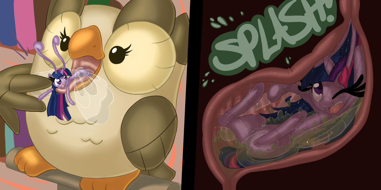 Pony Pet Food page 1 full