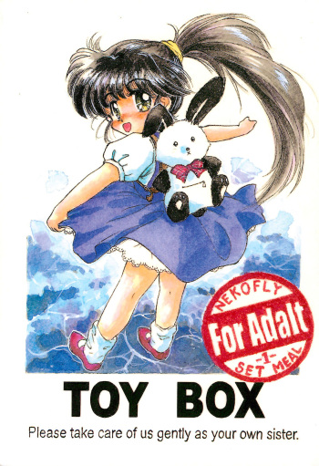 TOY BOX cover