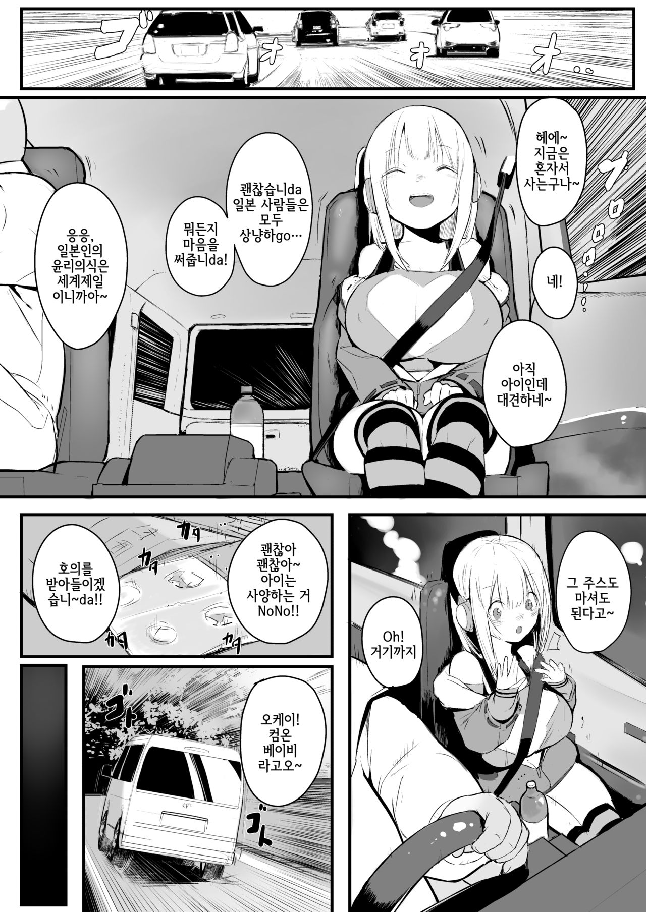 12SAI page 5 full