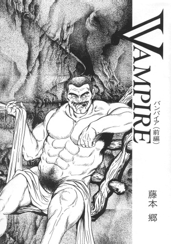 VAMPIRE cover