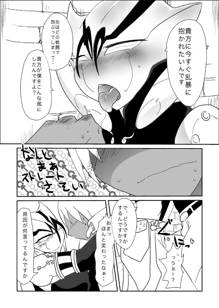 ザプツェ本まとめ page 9 full