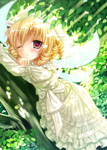 konomi cover