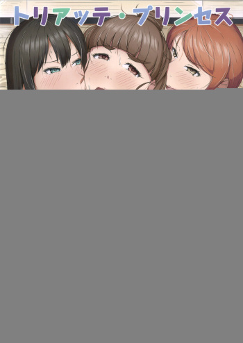 Toriatte Princess cover