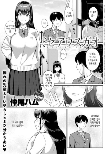 Miseau Sugao cover