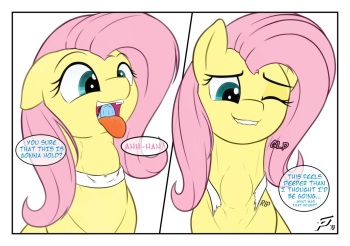 Fluttershy Vore Art Collection cover