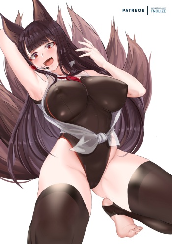 Swimsuit Akagi cover