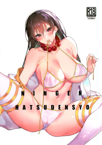 NINGEN HATSUDENSYO | HUMAN POWERPLANT cover