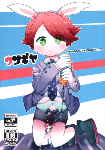 Usagiya cover