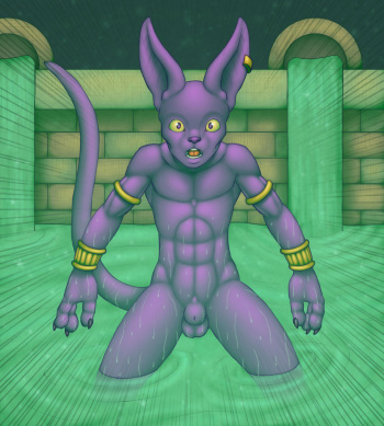 Beerus Gallery cover