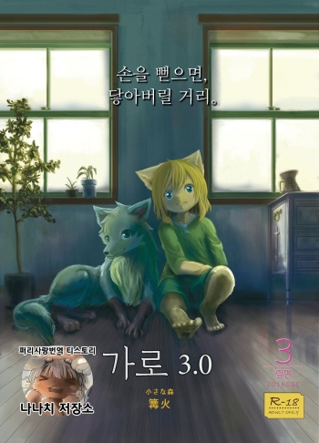 Garo 3.0 Omote | 가로 3.0 -앞면- cover