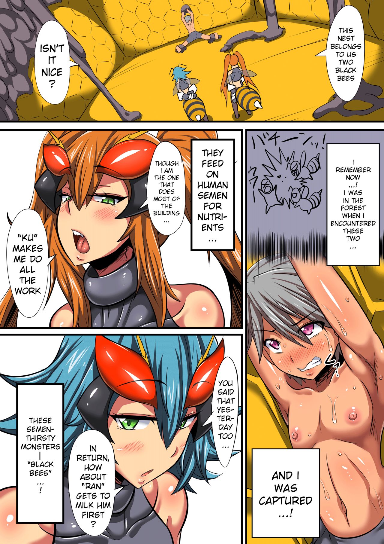 Black Bee no Hanshoku | 黑蜂的繁殖 page 3 full