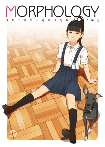 MORPHOLOGY cover