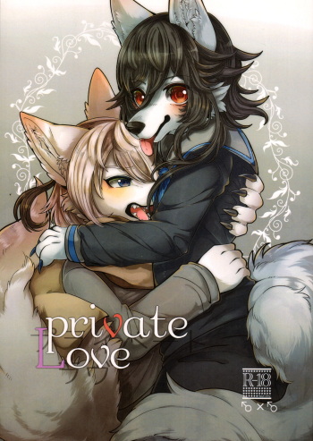 Private Love cover