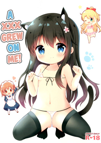 Watashi ni XXX ga Haete Kita! | A XXX Grew on Me! cover