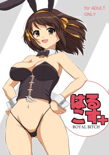 Harucos+ cover