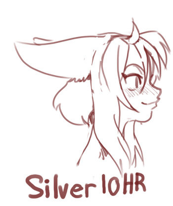 Silver 10hr cover